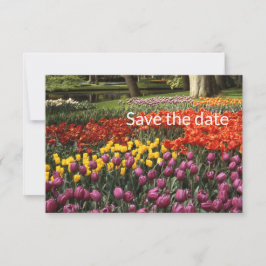 Reserve A Data Tulip Flat Salve A Placa Date