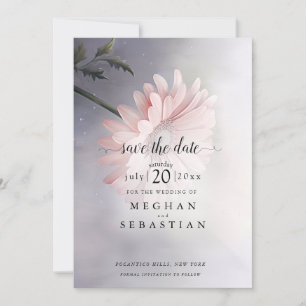 Reserve A Data Uma bela margarida rosa