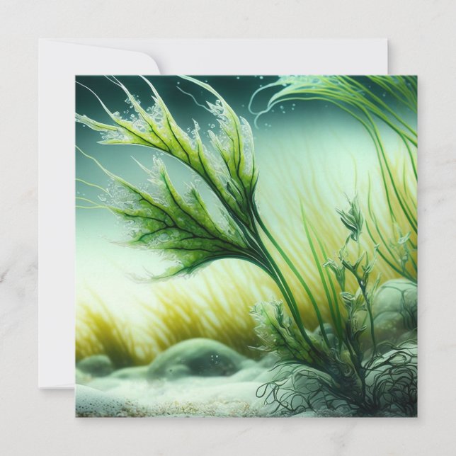 Reserve A Data Underwater Majesty (Frente)