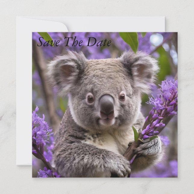 Reserve A Data Urso Purple Jacaranda Koala (Frente)