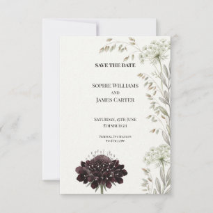 Reserve A Data Villa Italiana Scabiosa Black Knight Aquarela
