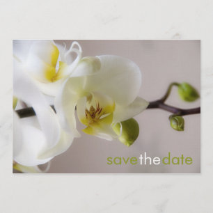 Reserve A Data Weiße Orchidee ・ Salve a Karte de Data