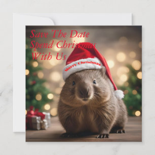 Reserve A Data "Wombat Wonderland: A Cozy Christmas Eve"