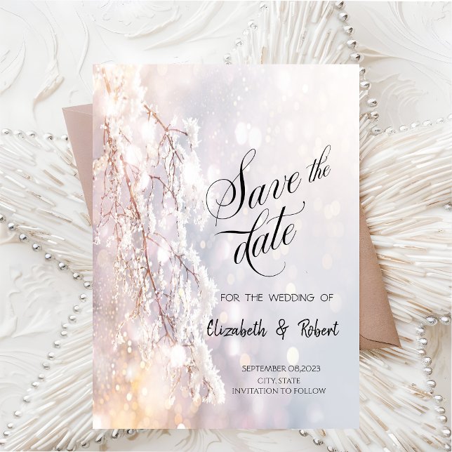 Reserve A Data Wonderland Branch De Inverno Salva A Data (Criador carregado)