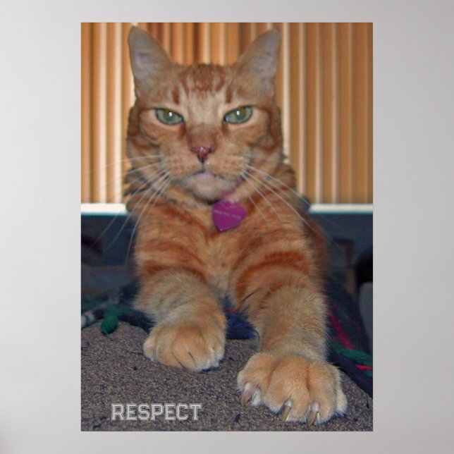 Respeite Baz Cat Poster (Frente)