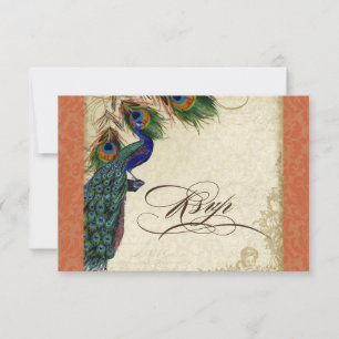 Resposta de RSVP Formal de Peacock & Feathers Oran