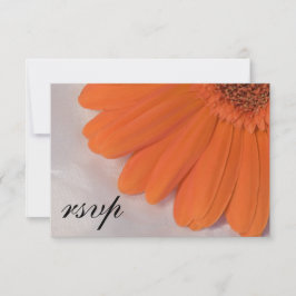 Resposta RSVP de Casamento de Satin White Daisy Or