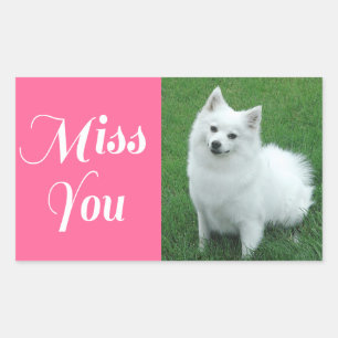 Retangular Adesivo de Cachorro Americano Eskimo Puppy 'Miss Y