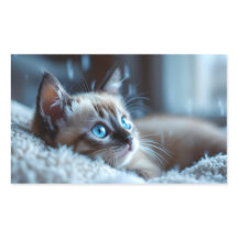 Adesivo de Gatinho Fofinho 