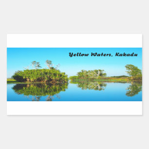 Retangular Adesivo de Kakadu, águas amarelas