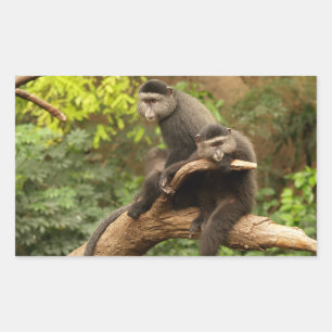 Retangular Adesivo de Retângulo Macaco
