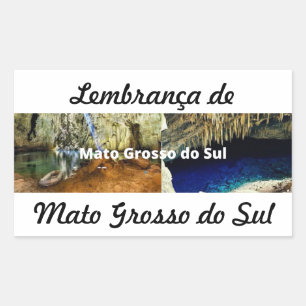 Retangular Adesivo lembrança de Mato Grosso do Sul