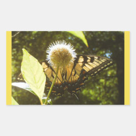 Retangular Adesivo Monarca Amarelo