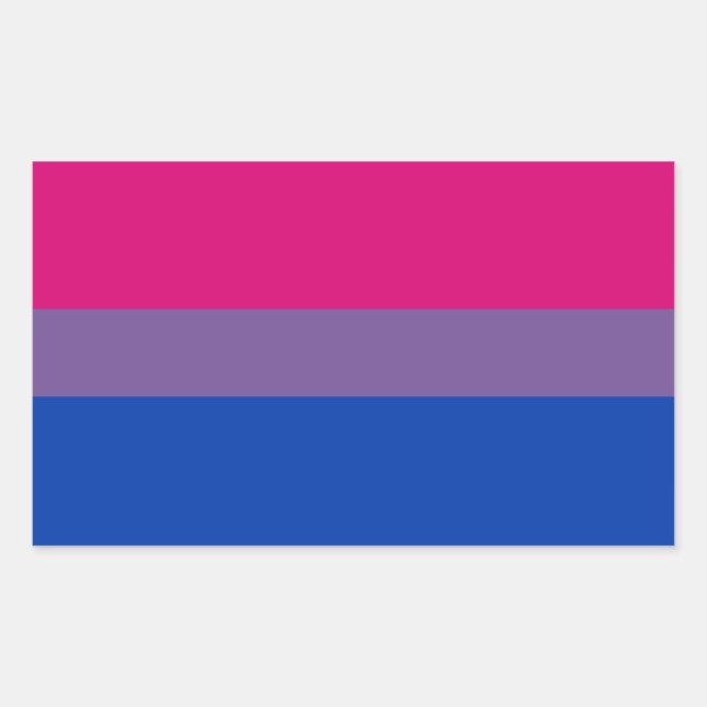 Retangular Folhas do Adesivo com Sinalizador Bi Pride (Retâng (Frente)