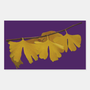 Retangular Ginkgo Biloba deixa adesivo