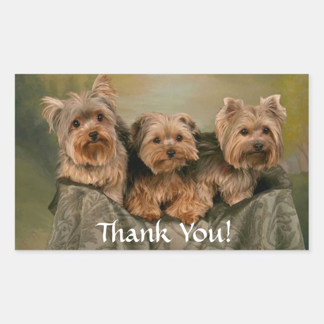 Retangular Obrigado adesivo de cachorros Yorkshire Terrier (Frente)