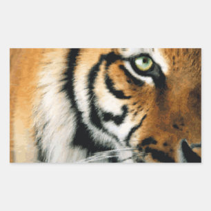 Retangular Tigre 2 - Adesivo