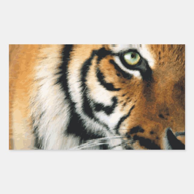 Retangular Tigre 2 - Adesivo (Frente)