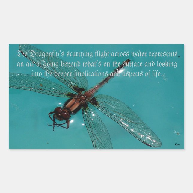 Retangular Um adesivo do Life 2 Dragonflies (Frente)