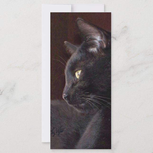 Retrair o Meu Rapaz Charlie Bookmark (Frente)