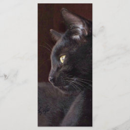 Retrair o Meu Rapaz Charlie Bookmark