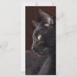 Retrair o Meu Rapaz Charlie Bookmark