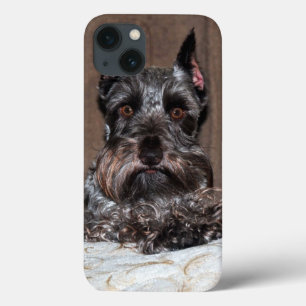 Retrato Adorável Mini Schnauzer no iPad Case