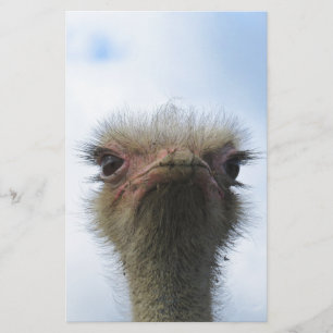 Retrato da avestruz