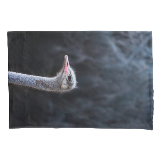 retrato de avestruz (Frente)