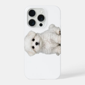 Retrato de Cachorrinho Maltês Branco Fofinho Amant
