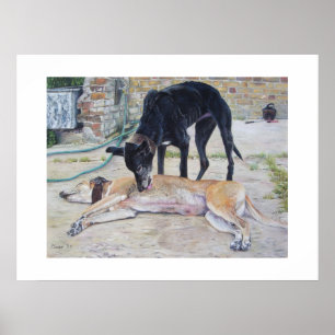 retrato de cão de galgos poster