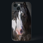 Retrato de Cavalo II<br><div class="desc">Animais</div>