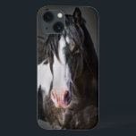 Retrato de Cavalo II<br><div class="desc">Animais</div>