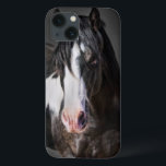 Retrato de Cavalo II<br><div class="desc">Animais</div>