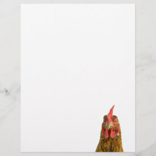 Retrato de frango Letterhead