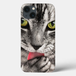 Retrato de Gato