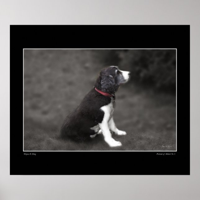 Retrato de Mabel nº 3 Poster (Frente)