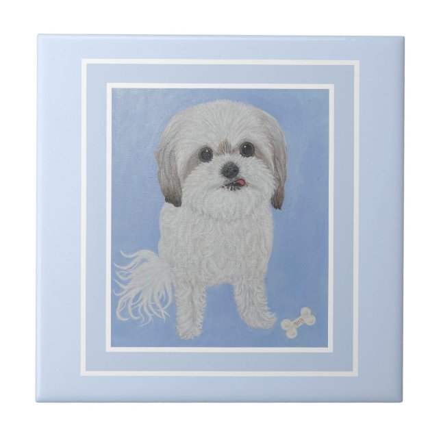 Retrato de Malshi com Azulejo de Cerâmica de Osso (Frente)
