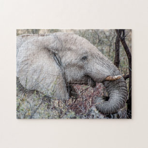 Retrato de Quebra-cabeça de um Elefante de Navega