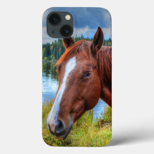 Retrato de Sorrel Mare & Scenic Lake Equine Foto
