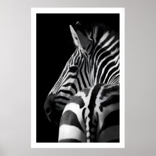 Retrato de Zebra Impressão Moderno Preto e Branco 