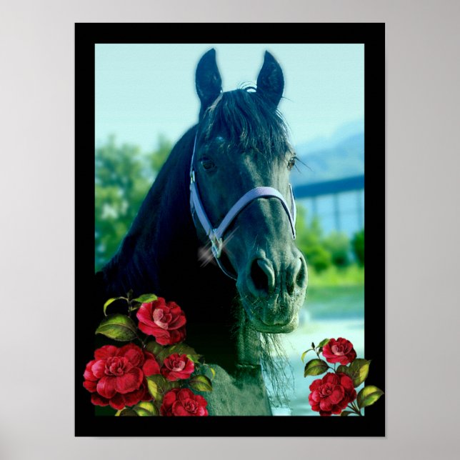 Retrato DIAMOND - Poster (Frente)