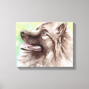 Retrato do cão das canvas do Keeshond