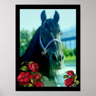 Retrato do DIAMANTE - poster