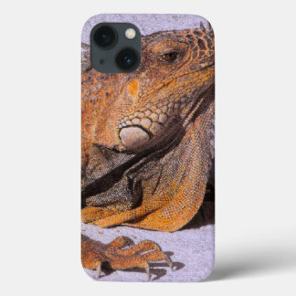 Retrato do Iguana
