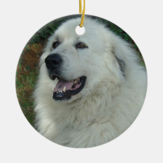 RETRATO dos ENFEITES DE NATAL de grandes Pyrenees