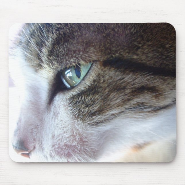 Retrato Mousepad do gato (Frente)