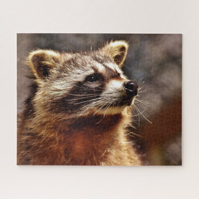 Retrato Raccoon, Quebra-cabeça de Jigsera (Horizontal)