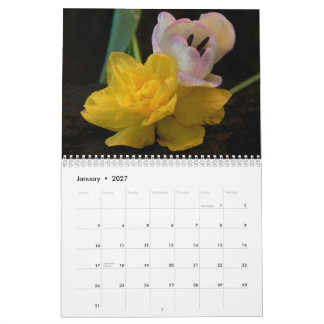 Retratos de Flores - Calendário 2027