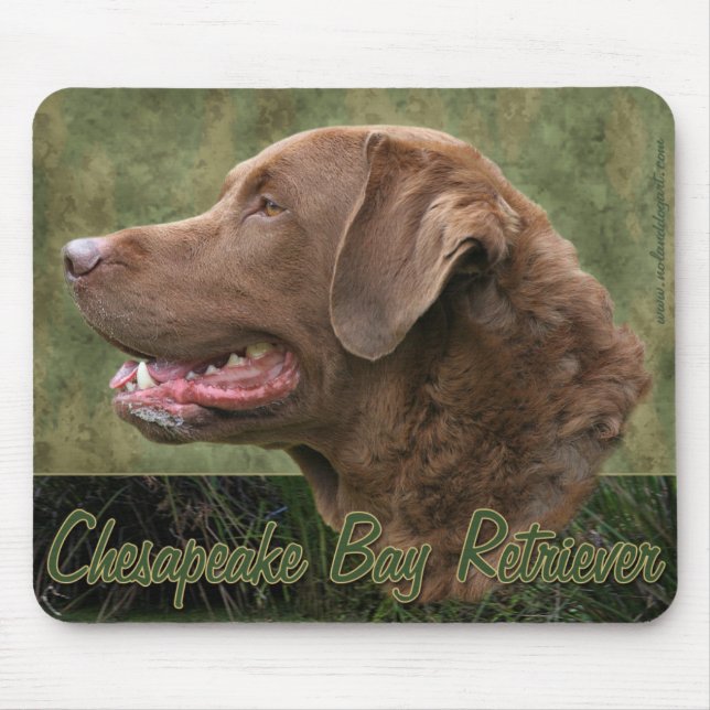 Retriever de baía de Chesapeake Mousepad (Frente)